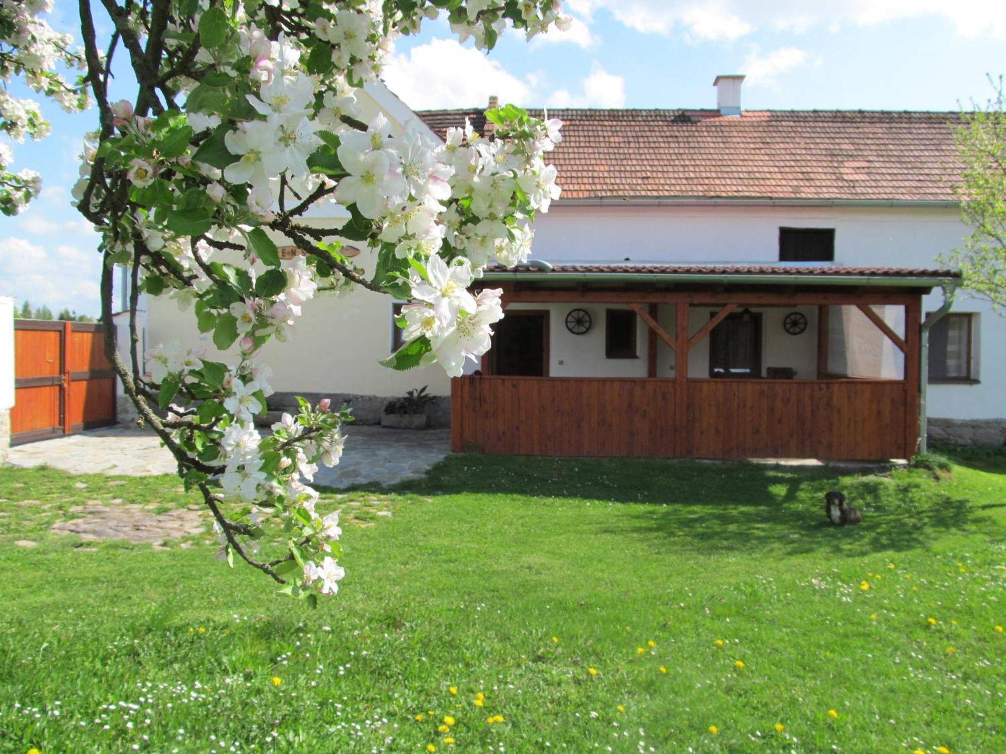 Pension Otevek Trhové Sviny Exterior photo