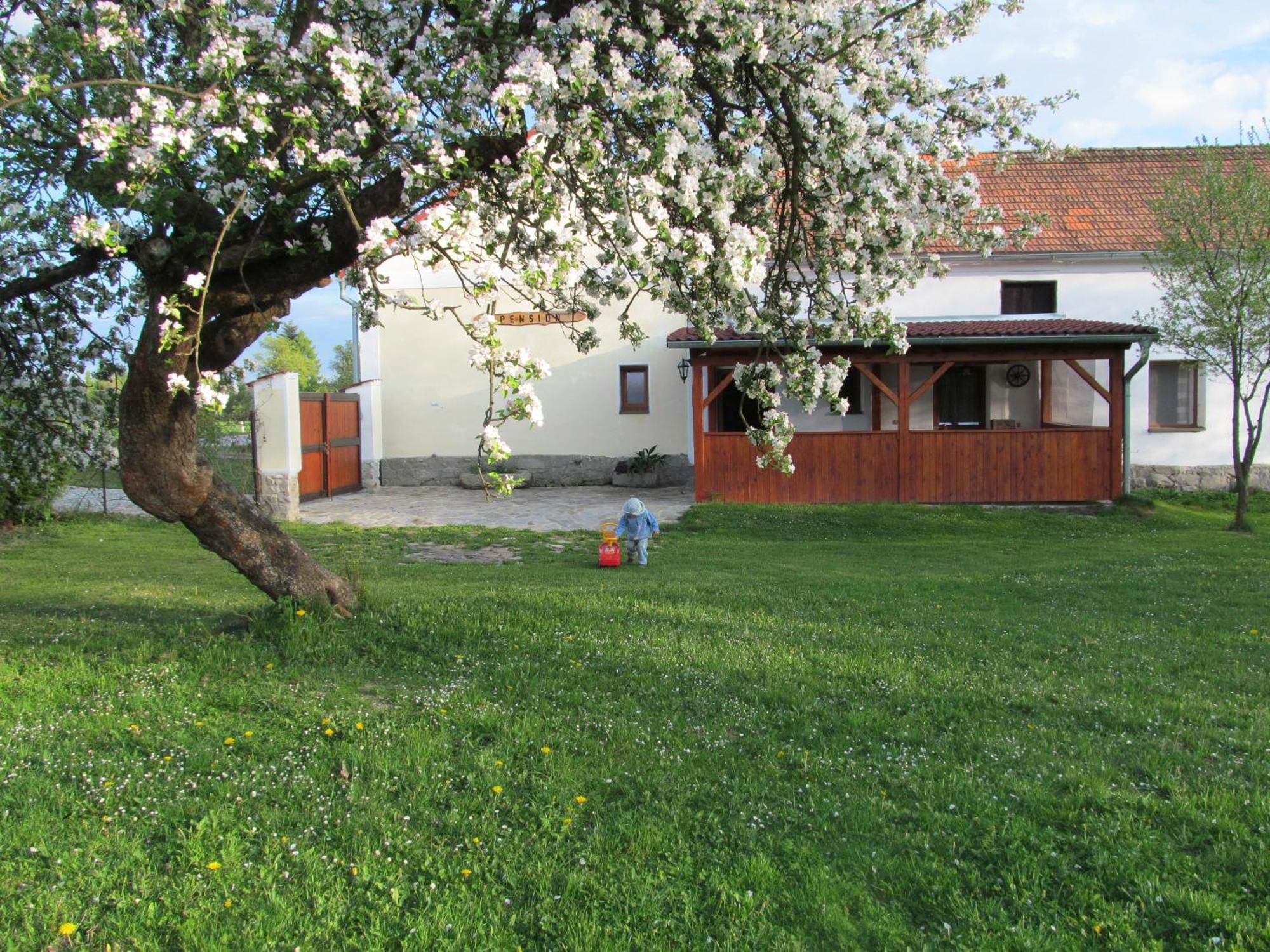 Pension Otevek Trhové Sviny Exterior photo