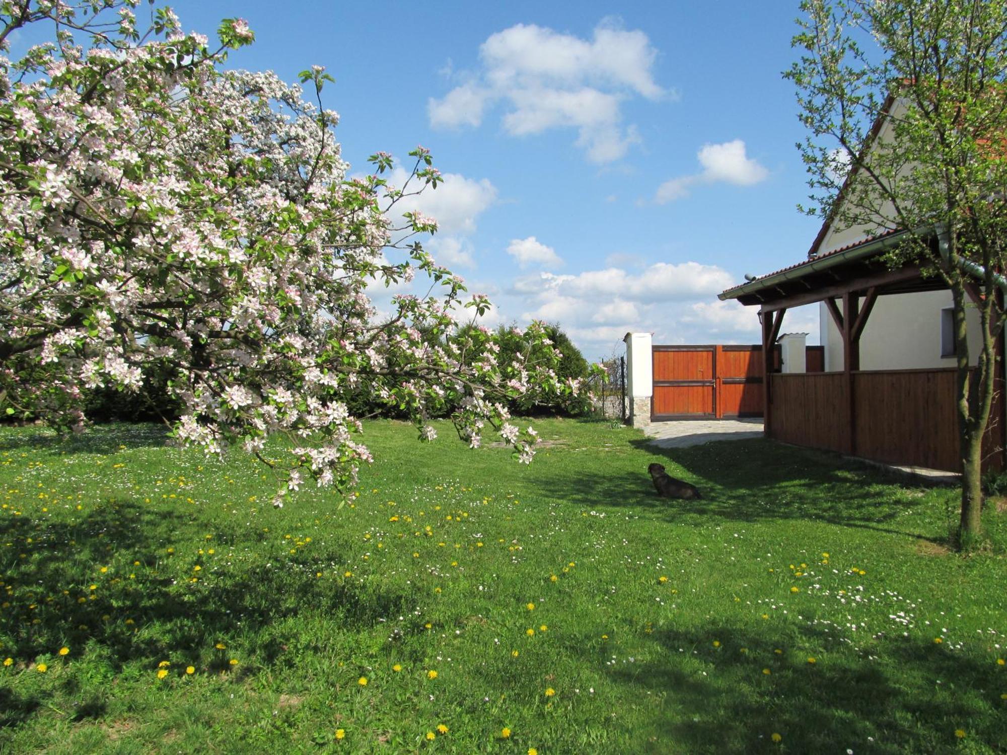 Pension Otevek Trhové Sviny Exterior photo